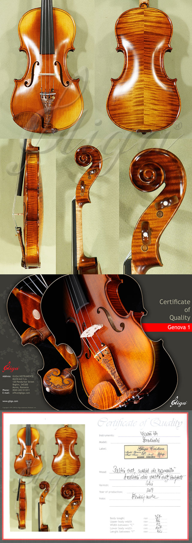Antiqued 4/4 MASTER 'GENOVA 1' Violin