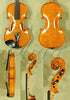 Advanced 'GAMA' Model, a Gliga Violin Handmade in Romania, Concert Orchestra Level, Hand Varnished, Hand Inlaid Purfling, Hand Carved Solid European Wood, Ready-To-Play