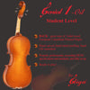 Beginner 'GENIAL 1-Oil' Model, a Gliga Violin Handmade in Romania, Beginning Student Level, Hand Varnished, Hand Inlaid Purfling, Hand Carved Solid European Wood, Ready-To-Play