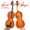 Beginner 'GENIAL 1-Oil' Model, a Gliga Violin Handmade in Romania, Beginning Student Level, Hand Varnished, Hand Inlaid Purfling, Hand Carved Solid European Wood, Ready-To-Play