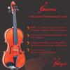 Advanced 'GAMA' Model, a Gliga Violin Handmade in Romania, Concert Orchestra Level, Hand Varnished, Hand Inlaid Purfling, Hand Carved Solid European Wood, Ready-To-Play