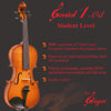 Beginner 'GENIAL 1-Oil' Model, a Gliga Violin Handmade in Romania, Beginning Student Level, Hand Varnished, Hand Inlaid Purfling, Hand Carved Solid European Wood, Ready-To-Play