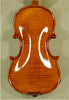 Shiny Antiqued 1/32 WORKSHOP 'GEMS 1' One Piece Back Violin