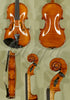 Shiny Antiqued 1/32 WORKSHOP 'GEMS 1' One Piece Back Violin